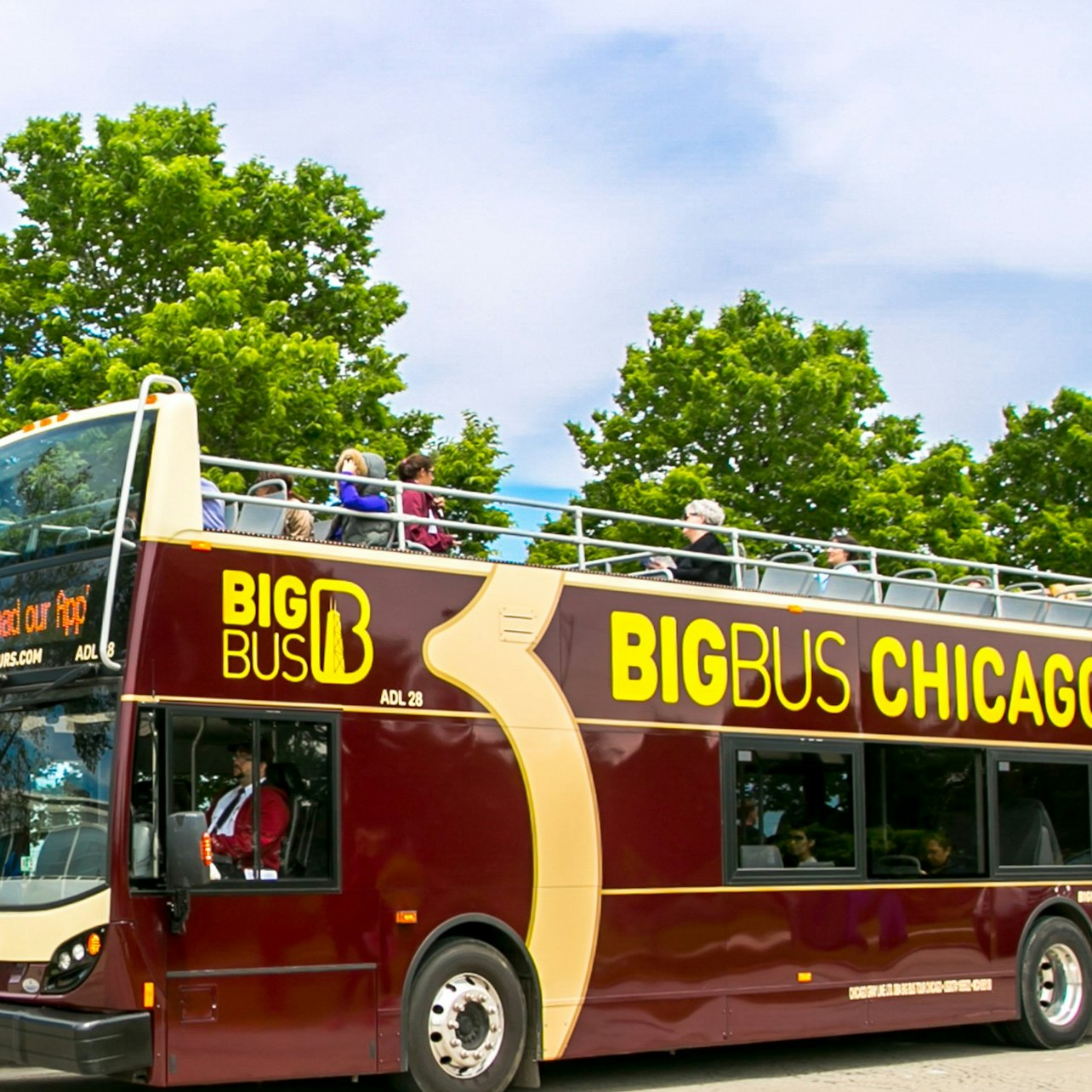 Explore the dynamic streets of Chicago aboard an open-top bus offering unmatched views of iconic architecture and enticing landmarks making every moment an unforgettable adventure.